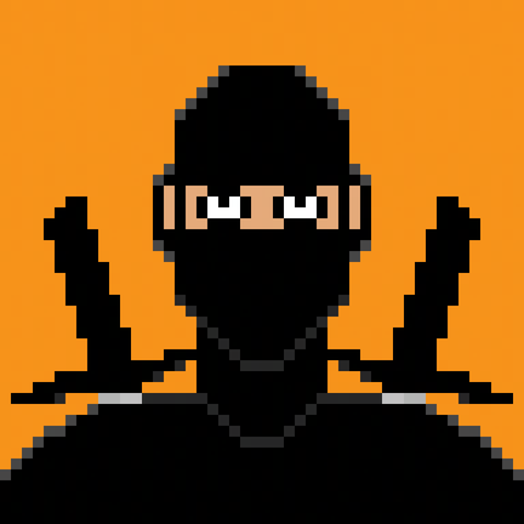 Ninja Punk